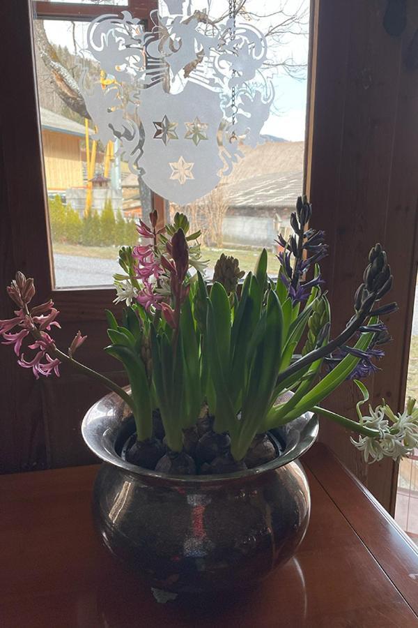 Residence Schneiderhof San Candido Ngoại thất bức ảnh